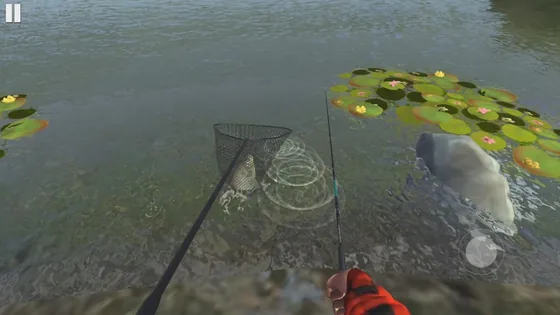 Xalavar de rede a entrar na água junto a um peixe claro entre nenúfares, visto na primeira pessoa no Ultimate Fishing Simulator